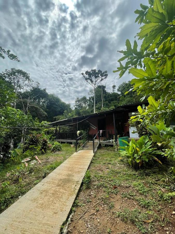 Posada Don Juan Drake Bay ภายนอก รูปภาพ
